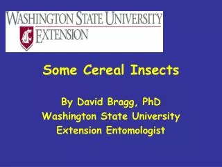 Some Cereal Insects