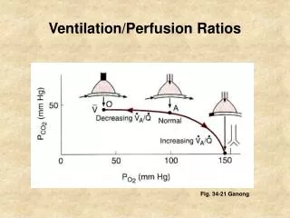 Ventilation/Perfusion Ratios