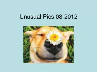 Unusual Pics 08-2012