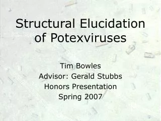 Structural Elucidation of Potexviruses