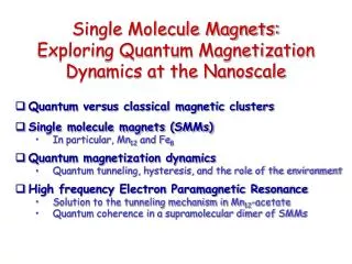Single Molecule Magnets: Exploring Quantum Magnetization Dynamics at the Nanoscale