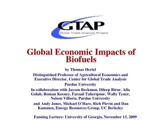 Global Economic Impacts of Biofuels