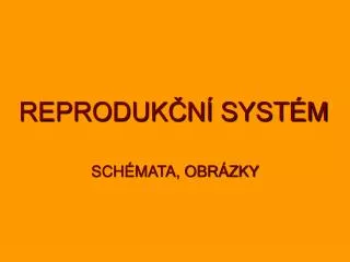 reproduk n syst m