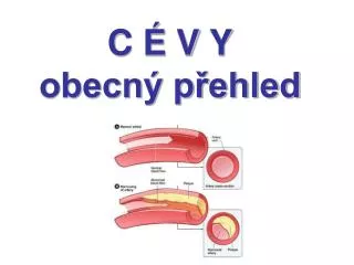 c v y obecn p ehled