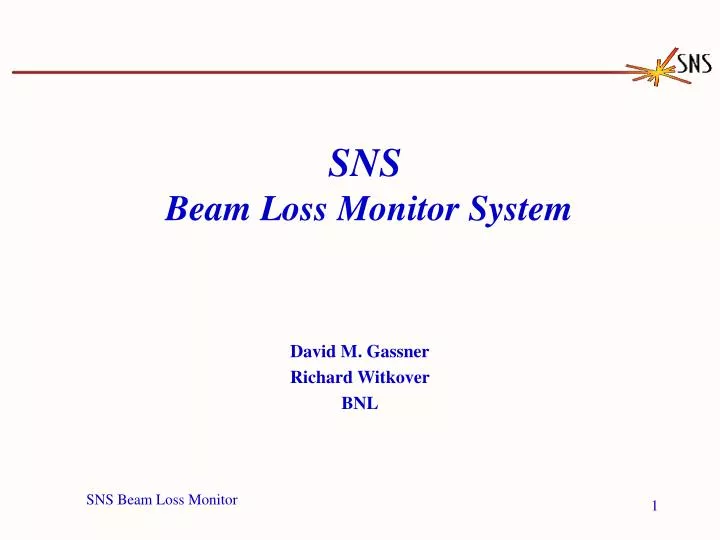sns beam loss monitor system