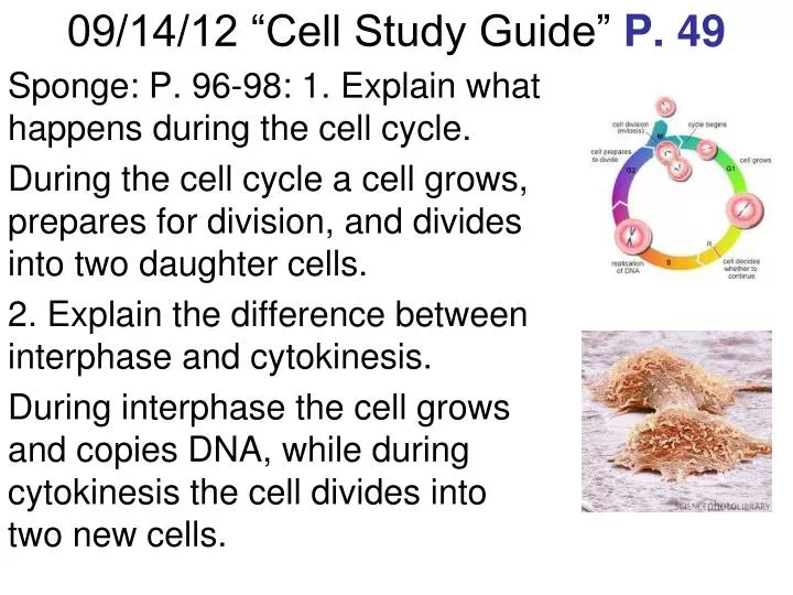 09 14 12 cell study guide p 49