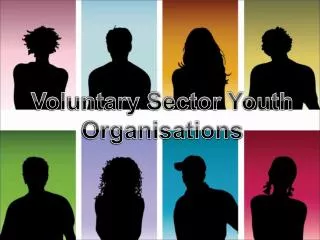 Voluntary Sector Youth Organisations