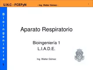 aparato respiratorio