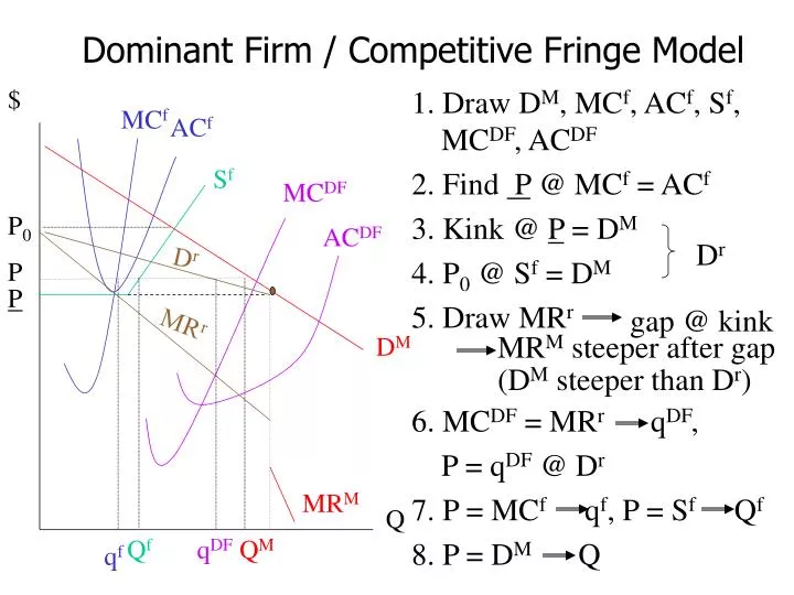 dominant firm competitive fringe model