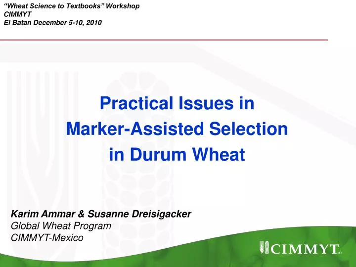 wheat science to textbooks workshop cimmyt el batan december 5 10 2010