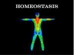 Understanding Homeostasis: The Body's Internal Control System - slide 1