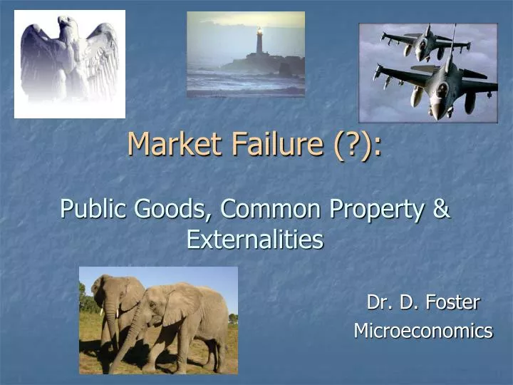 market failure public goods common property externalities