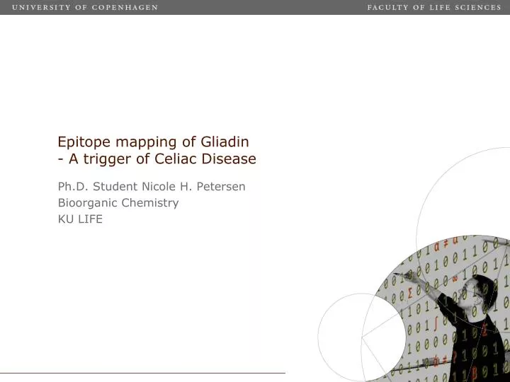epitope mapping of gliadin a trigger of celiac disease