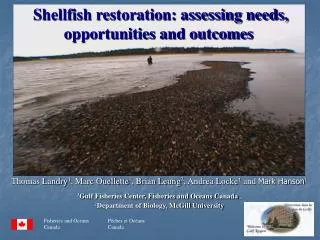 Shellfish restoration: assessing needs, opportunities and outcomes