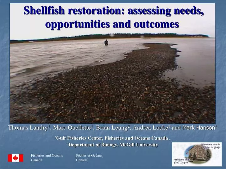 shellfish restoration assessing needs opportunities and outcomes
