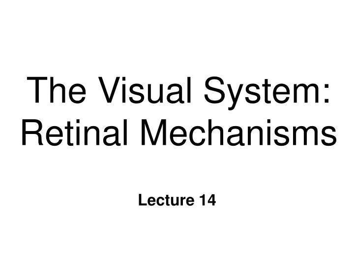 the visual system retinal mechanisms