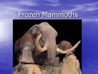 Frozen Mammoths