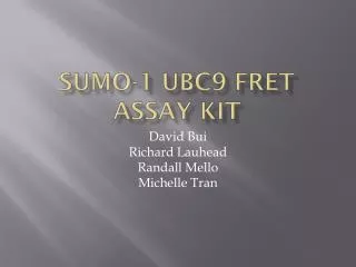 SUMO-1 UBC9 FRET Assay Kit