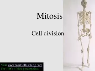 Mitosis