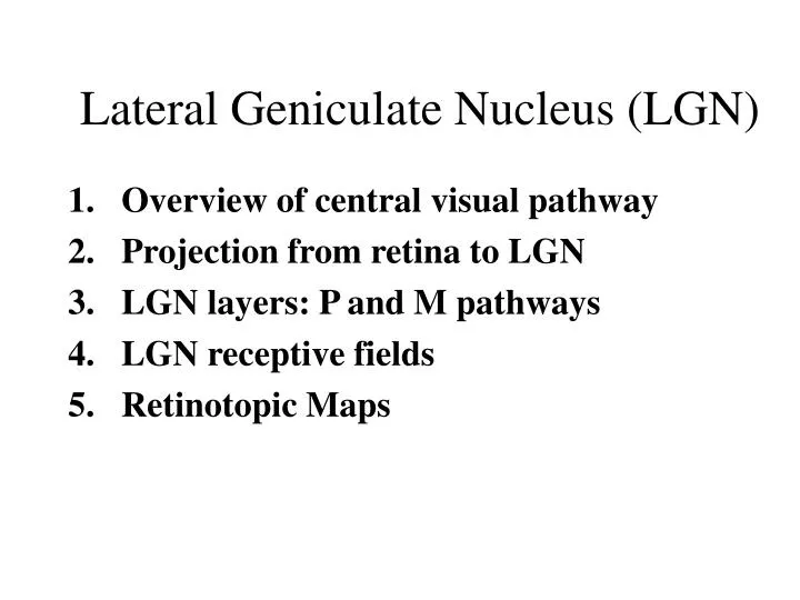 lateral geniculate nucleus lgn