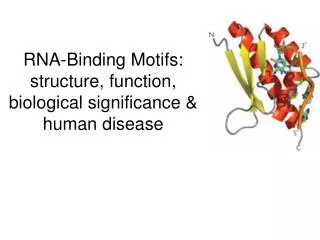 RNA-Binding Motifs: structure, function, biological significance &amp; human disease