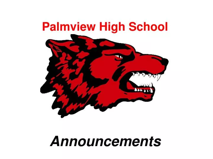 palmview high school announcements