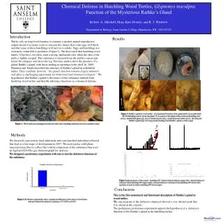 Chemical Defense in Hatchling Wood Turtles, Glyptemys insculpta :