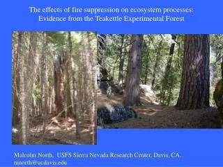 Malcolm North, USFS Sierra Nevada Research Center, Davis, CA. mnorth@ucdavis