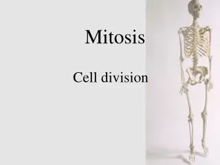 Mitosis