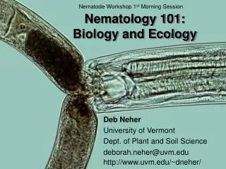 Nematology 101: Biology and Ecology