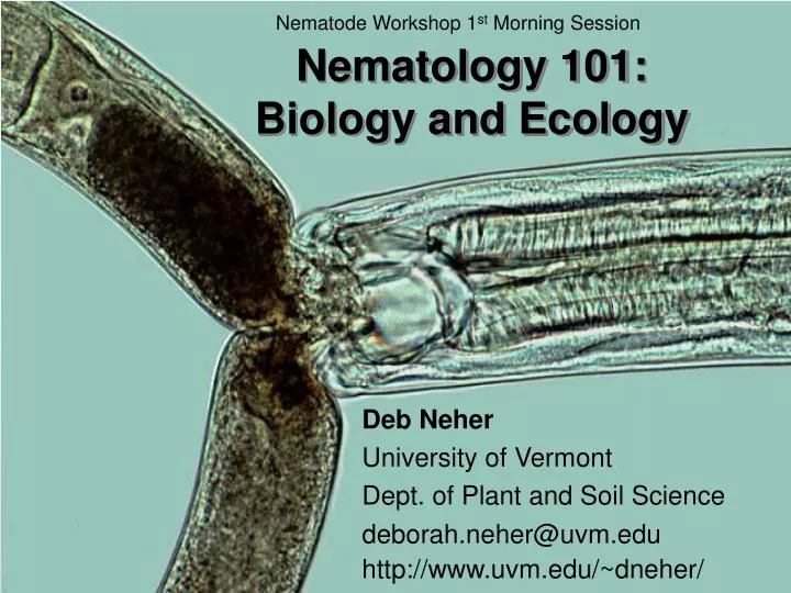 nematology 101 biology and ecology