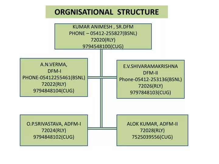 orgnisational structure
