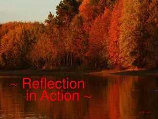 ~ Reflection in Action ~