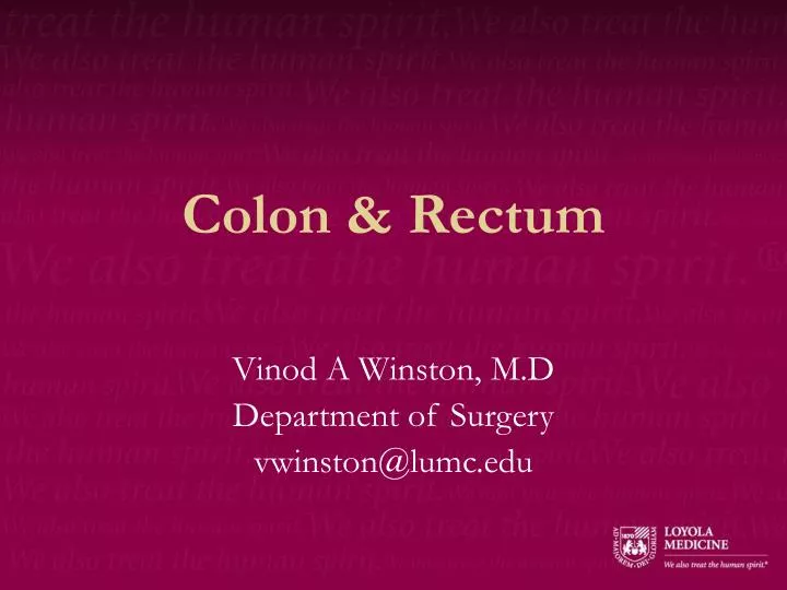 colon rectum