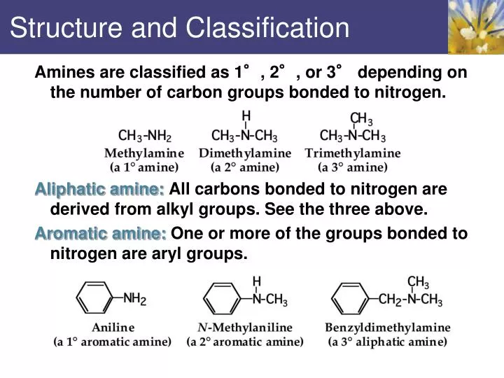 structure and classification