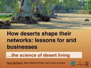 How deserts shape their networks: lessons for arid businesses