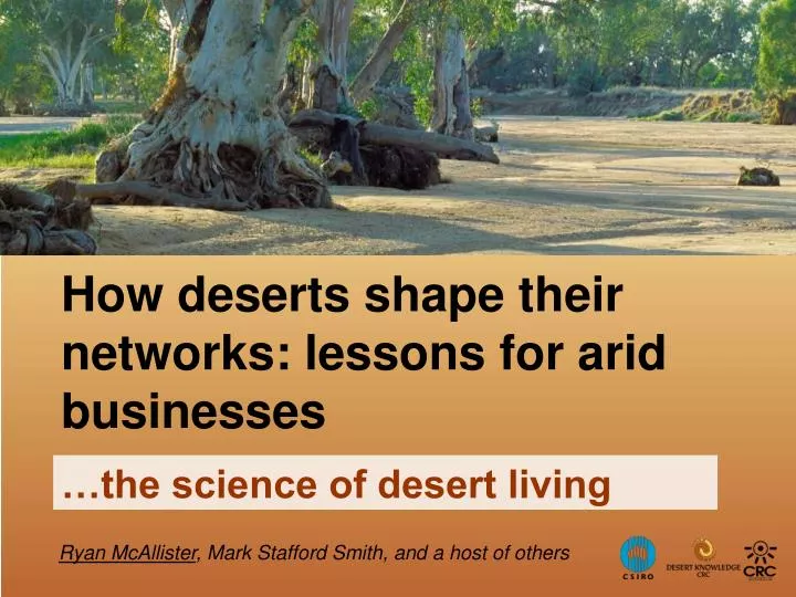 how deserts shape their networks lessons for arid businesses