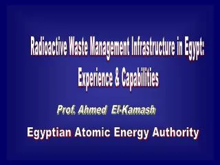 Radioactive Waste Management Infrastructure in Egypt: Experience &amp; Capabilities