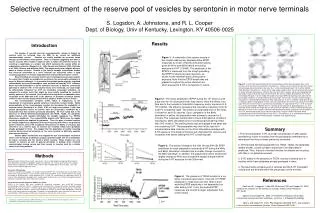 Selective recruitment of the reserve pool of vesicles by serontonin in motor nerve terminals
