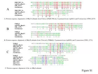 Figure S1