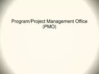 Program/Project Management Office (PMO)
