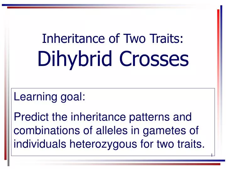 inheritance of two traits dihybrid crosses