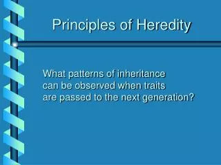 Principles of Heredity