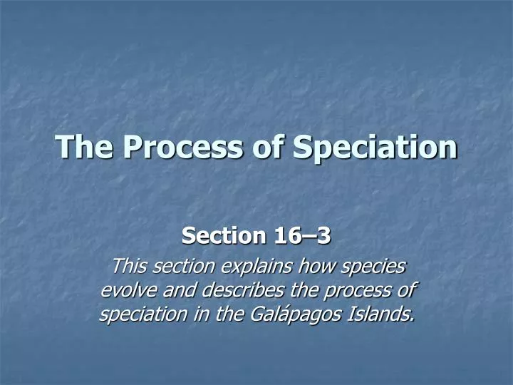 the process of speciation