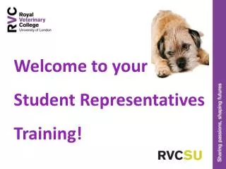 Welcome to your Student Representatives Training!