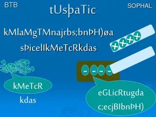 biesafn eglicrtus atic