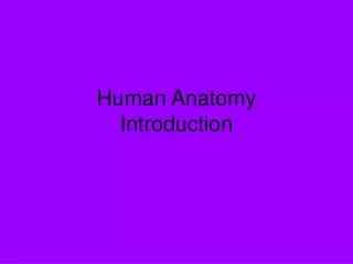 Human Anatomy Introduction