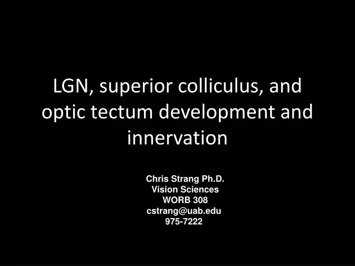 lgn superior colliculus and optic tectum development and innervation