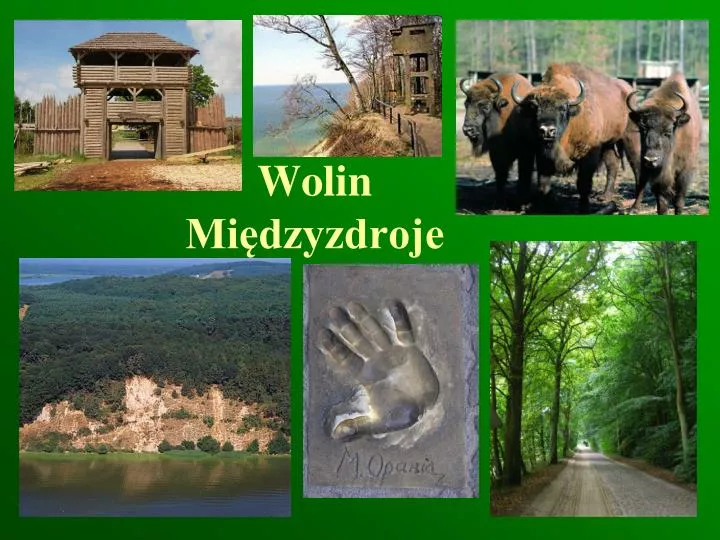 wolin mi dzyzdroje