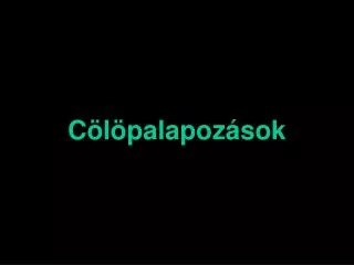 c l palapoz sok